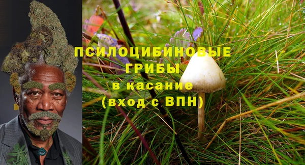 ГАЛЛЮЦИНОГЕННЫЕ ГРИБЫ Алексеевка