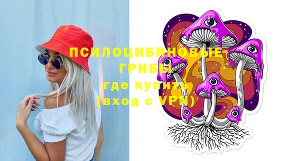 ГАЛЛЮЦИНОГЕННЫЕ ГРИБЫ Алексеевка