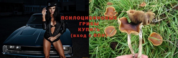 ГАЛЛЮЦИНОГЕННЫЕ ГРИБЫ Алексеевка